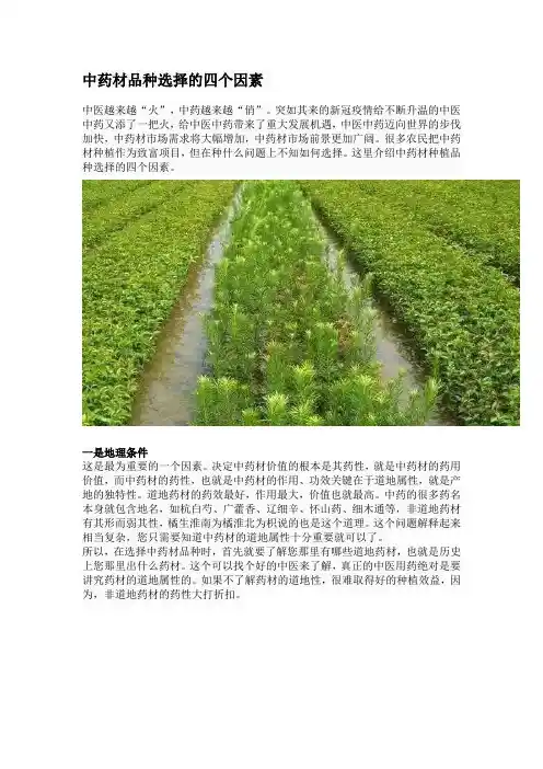 中药材品种选择的四个因素