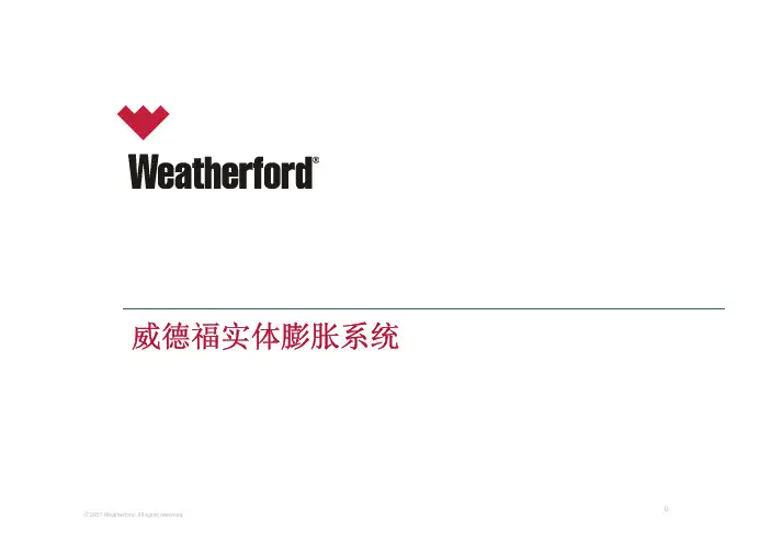 威德福实体膨胀系统