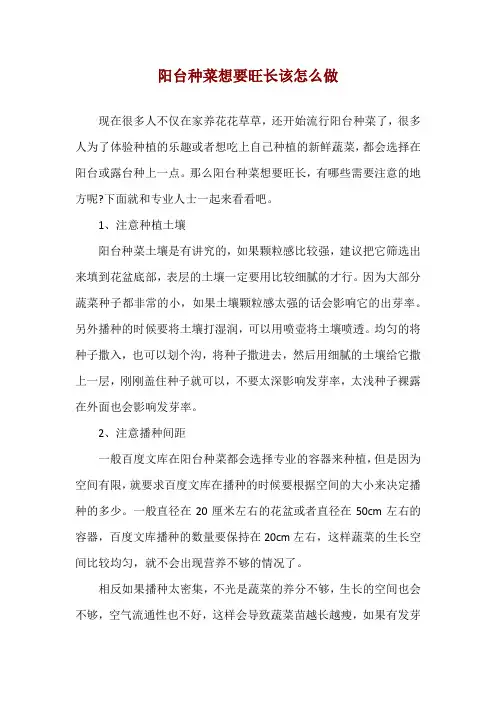 阳台种菜想要旺长该怎么做