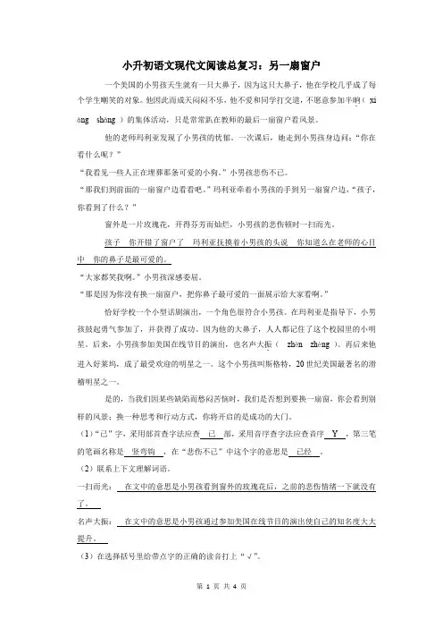 小升初语文现代文阅读总复习：另一扇窗户