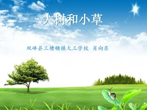 部编版三年级上册科学课件 大树和小草 教科版17ppt上课用