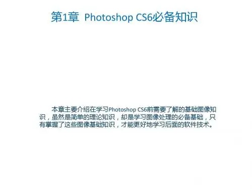 Photoshop CS6 (1)