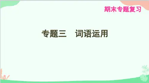 统编版语文八年级下册 期末复习专题三 词语运用课件