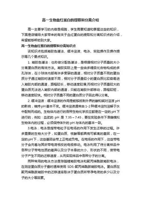 高一生物血红蛋白的提取和分离介绍