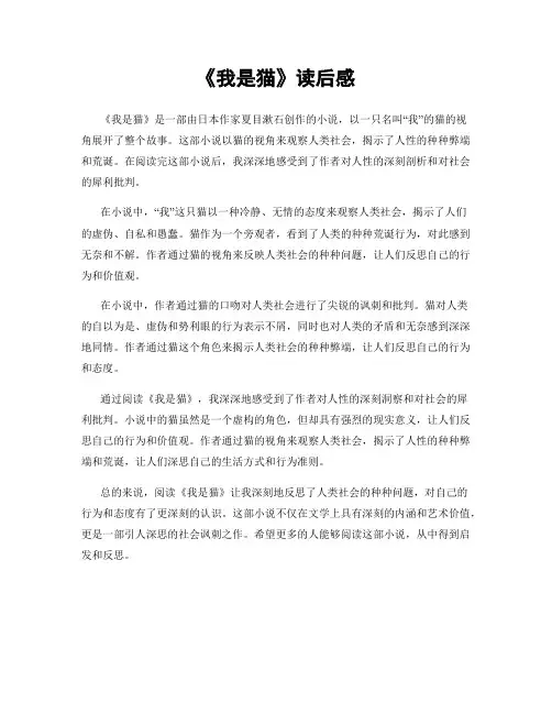 《我是猫》读后感