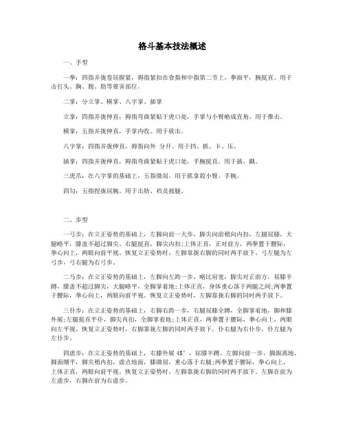 格斗基本技法概述