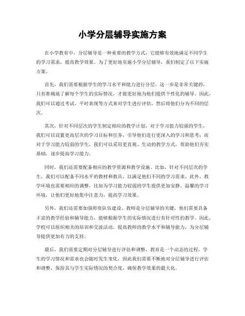小学分层辅导实施方案