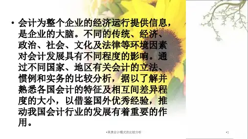 英美会计模式的比较分析课件