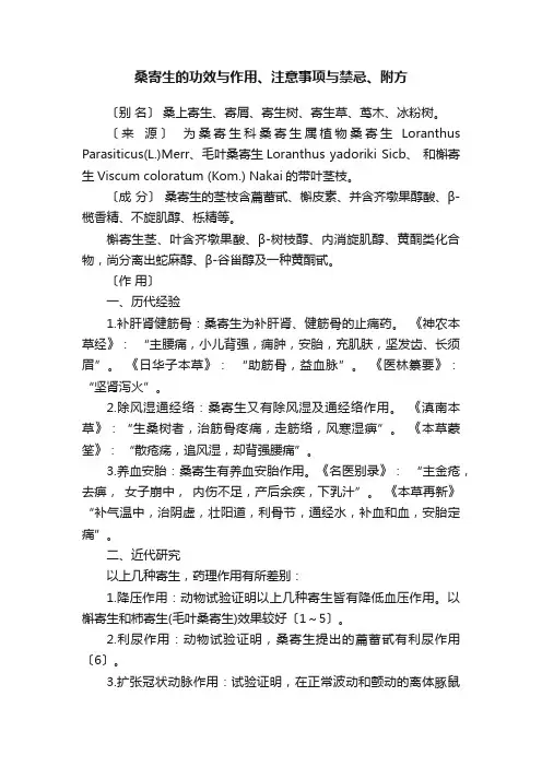 桑寄生的功效与作用、注意事项与禁忌、附方