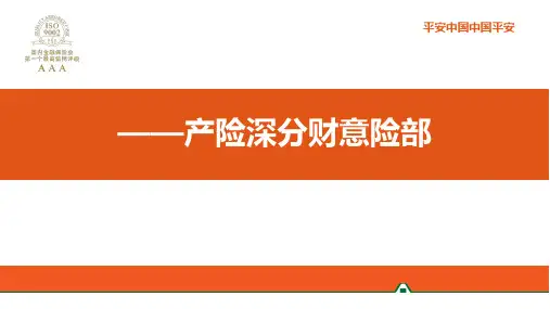 中国平安工程险简介[优质ppt]