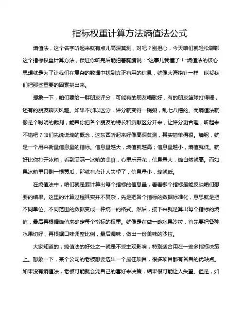 指标权重计算方法熵值法公式