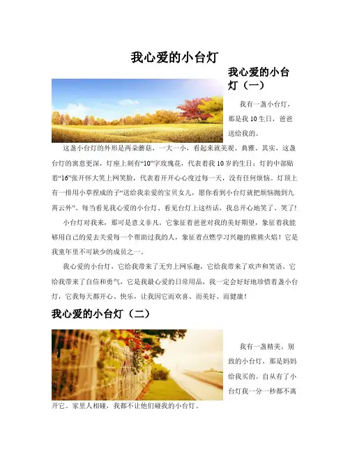 我心爱的小台灯(共10)