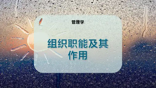 组织职能及其作用