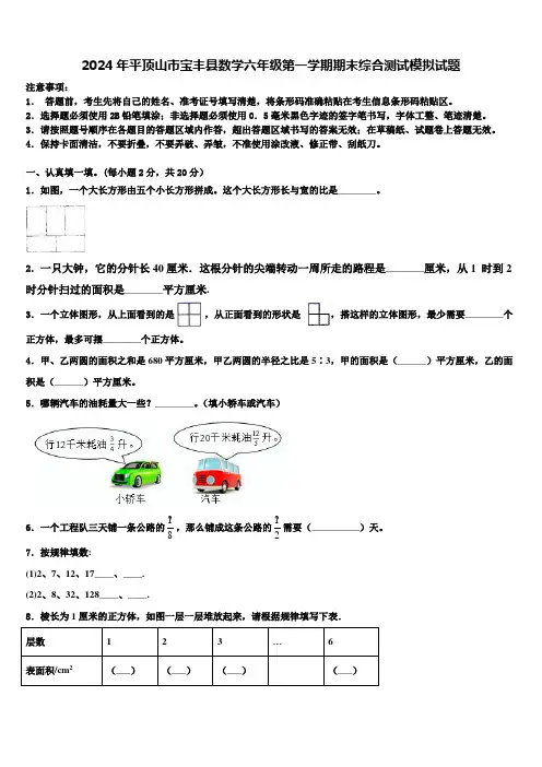 2024年平顶山市宝丰县数学六年级第一学期期末综合测试模拟试题含解析