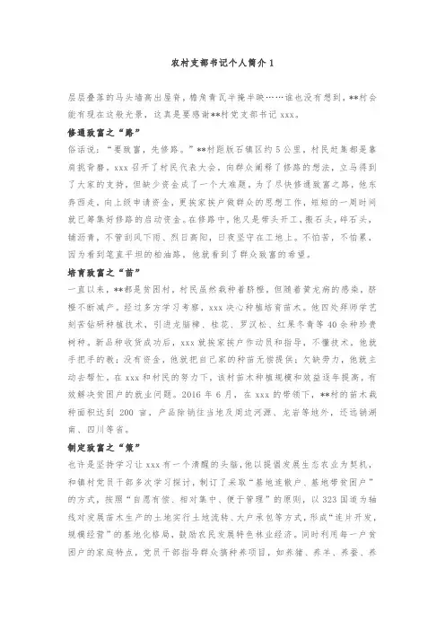 农村支部书记个人简介范文200字