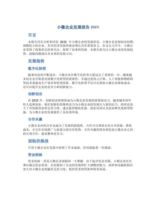 小微企业发展报告2023
