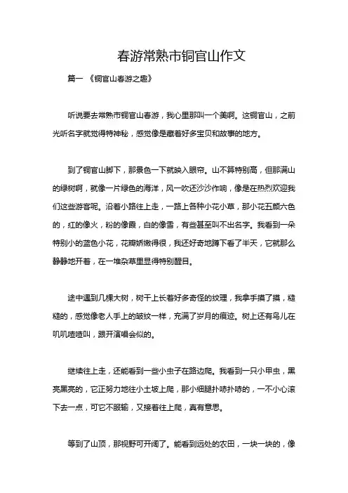 春游常熟市铜官山作文
