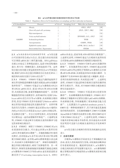 m6A修饰调控酶及其结合蛋白在细胞自噬中作用的研究进展