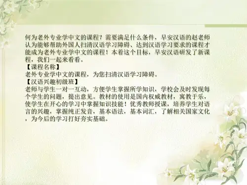 老外专业学中文的课程-为您扫清汉语学习障碍ppt课件