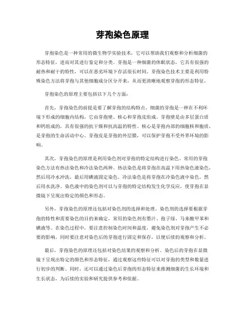 芽孢染色原理
