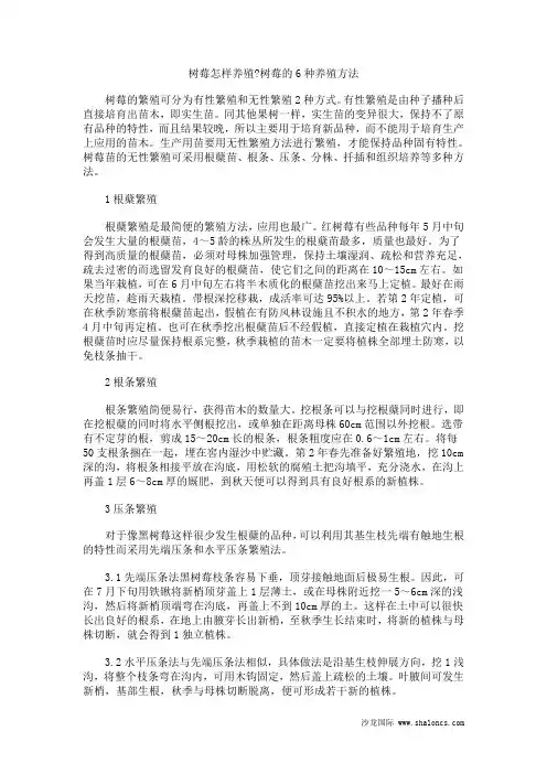 树莓怎样养殖树莓的6种养殖方法