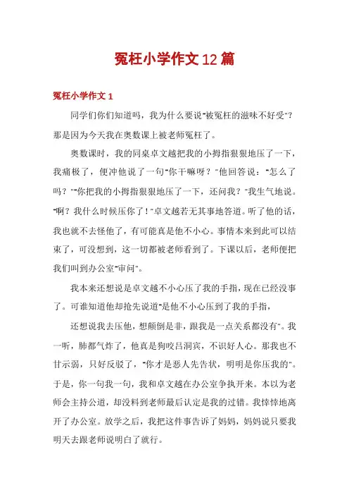 冤枉小学作文12篇