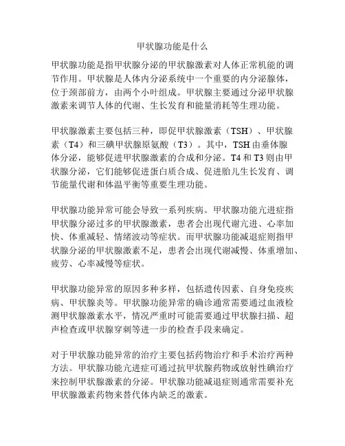甲状腺功能是什么