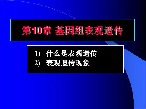 23-第10章 基因组表观遗传-表观遗传现象