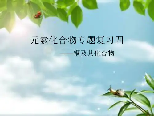 苏教版高中化学高三专题复习：元素化合物专题复习-铜及化合物 课件(共20张PPT)