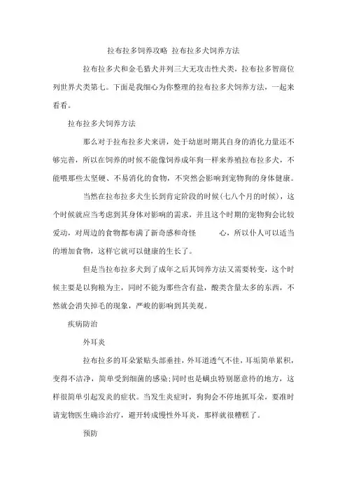 拉布拉多饲养攻略 拉布拉多犬饲养方法