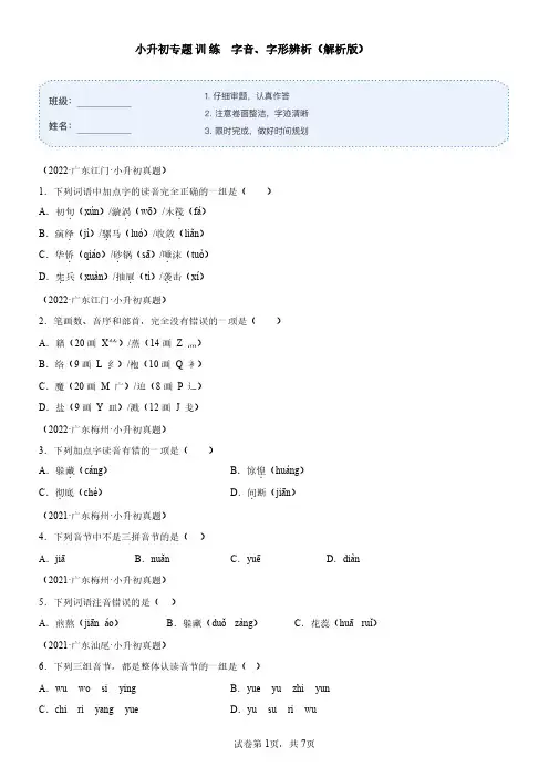 小升初专题训练 字音、字形辨析(解析版)
