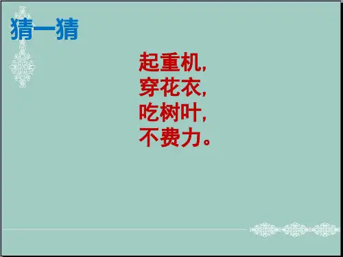 一年级下册道德与法治-7《可爱的动物》人教部编版(共33张PPT) PPT
