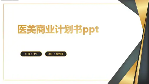 医美商业计划书ppt