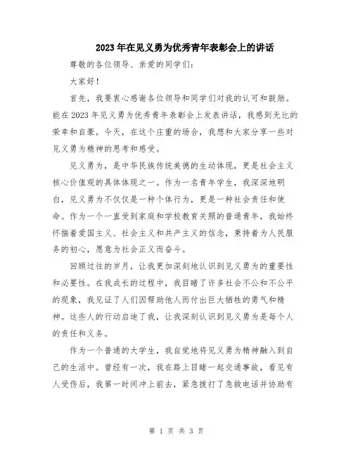 2023年在见义勇为优秀青年表彰会上的讲话