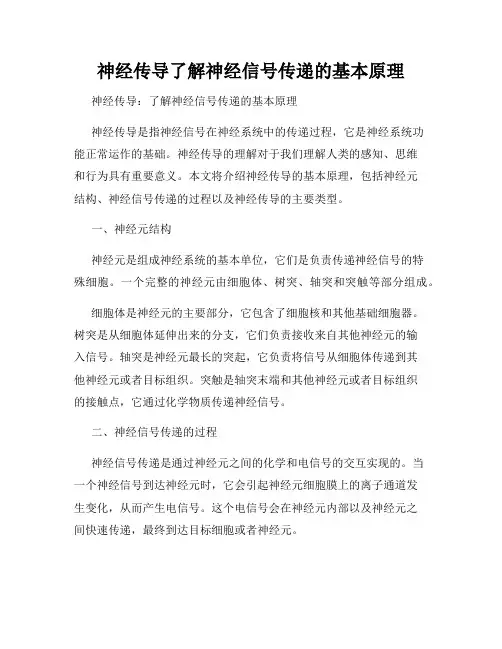 神经传导了解神经信号传递的基本原理