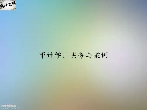 审计学：实务与案例