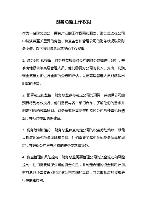 财务总监工作权限