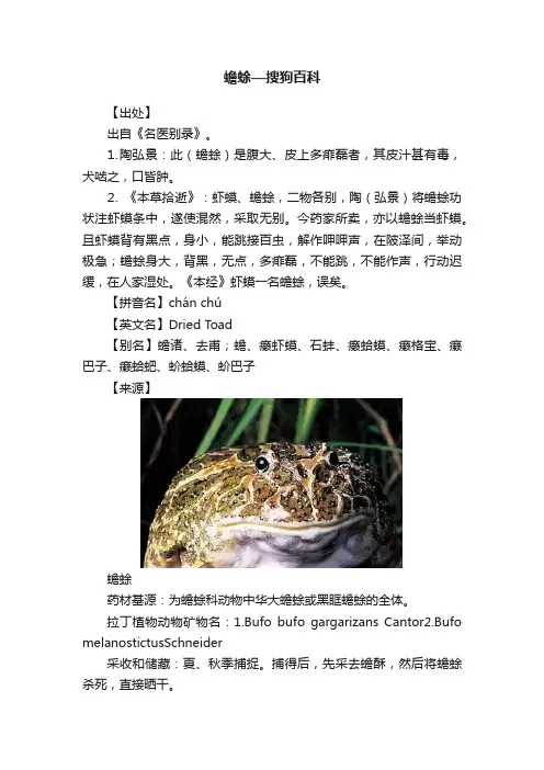 蟾蜍—搜狗百科