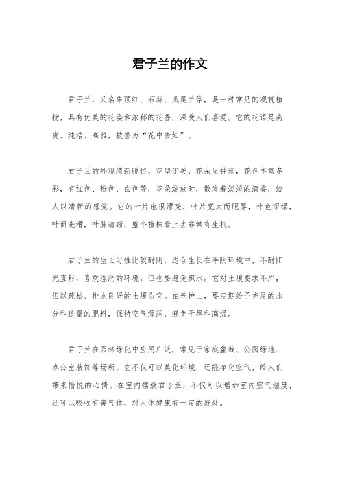 君子兰的作文