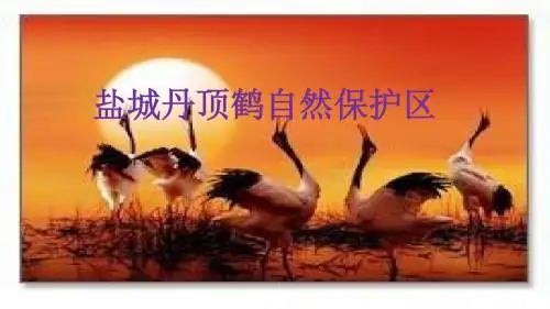 盐城市丹顶鹤自然保护区