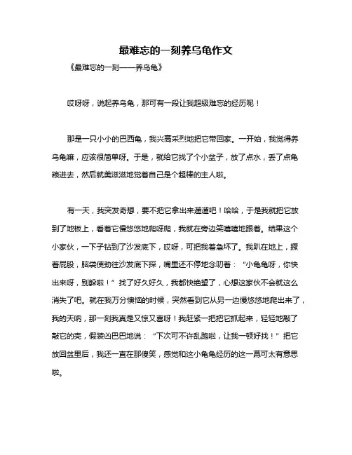 最难忘的一刻养乌龟作文