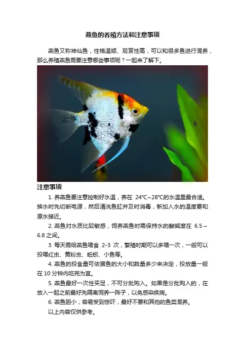 燕鱼的养殖方法和注意事项