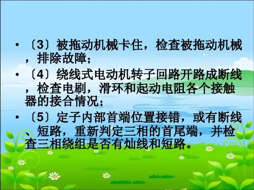 电机常见故障及处理PPT课件