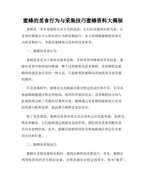 蜜蜂的觅食行为与采集技巧蜜蜂资料大揭秘