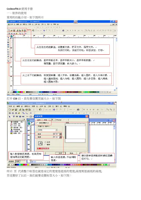 CodeSoft 6.0 详细使用手册