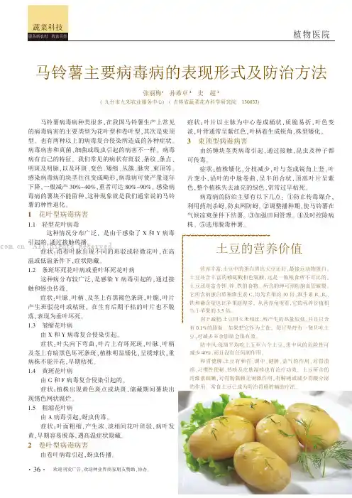 马铃薯主要病毒病的表现形式及防治方法