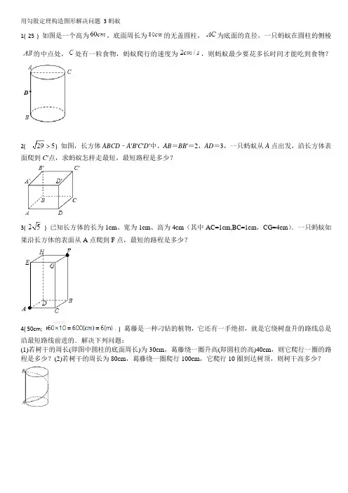 用勾股定理构造图形解决问题 3蚂蚁