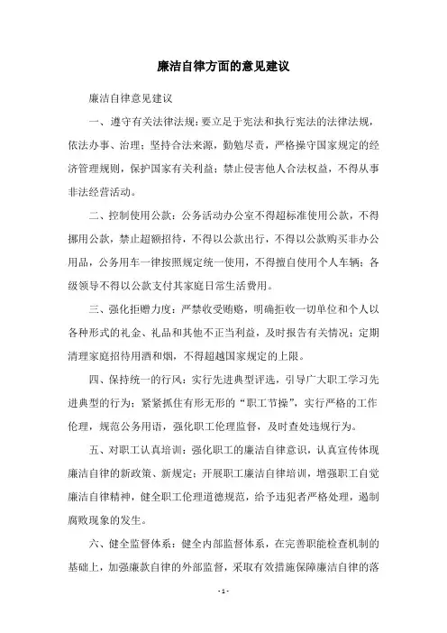 廉洁自律方面的意见建议