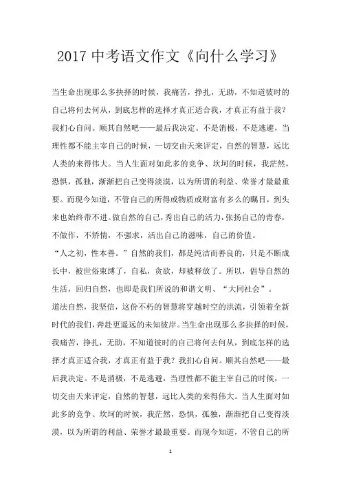 2017中考语文作文《向什么学习》