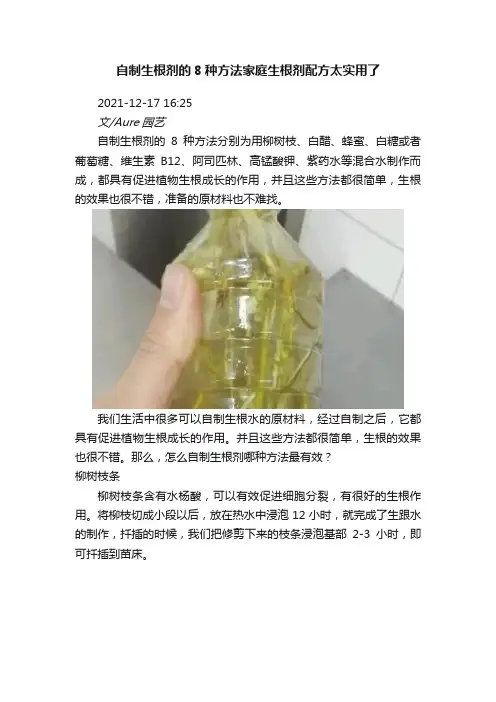 自制生根剂的8种方法家庭生根剂配方太实用了